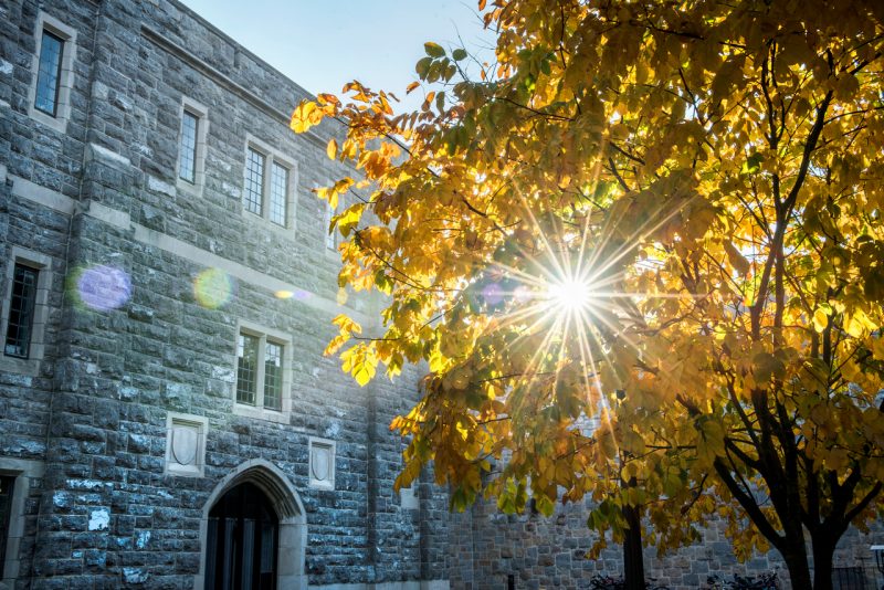 Campus in the fall